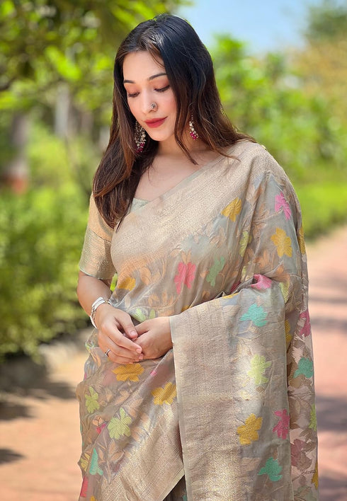 Vasthrlay Organza Handloom Blouse Ethnic Wear