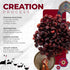 7 BAZAARI Dried Chatpata Cranberries 180gm