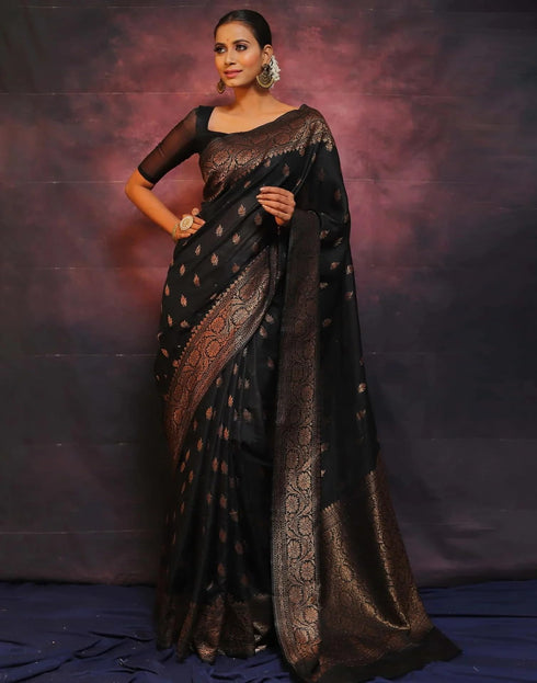 Vasthrlay Banarasi Saree