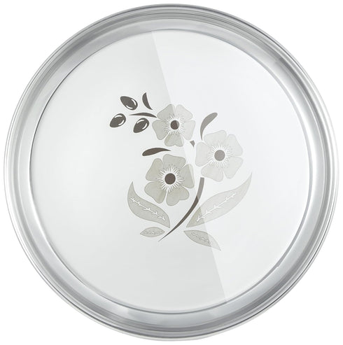 Stainless Steel Plate Set of 6 (12 Inches)