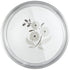 Stainless Steel Plate Set of 6 (12 Inches)