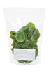 NatureVit Dried Kiwi Fruit Slices Gluten-Free & Vegan Snack