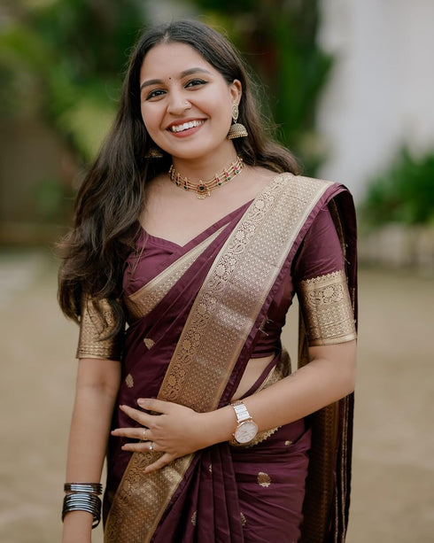 VasthrlayBurgundy Banarasi Kanchipuram Saree