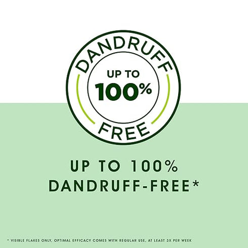 Head & Shoulders Neem Anti-Dandruff Shampoo