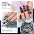 BOLT BEE 9D Cat Eye Gel Nail Polish, Magnetic Cat Eye Gel Polish Set 5pcs set