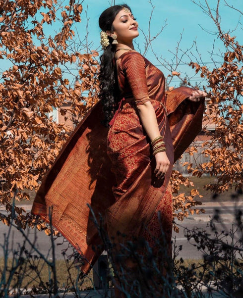 Vasthrlay Maroon Kanjivaram Saree