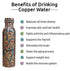 Copper Water Bottle, 1000ml, Set of 1, Green Print