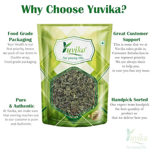 Yuvika Indigo Leaves - Neel Patti