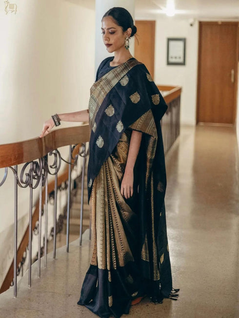 Vasthrlay Banarasi Saree