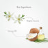 Sitaram Ayurveda Psora Herb Oil