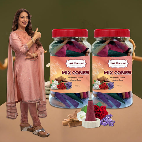 Hari Darshan Natural Dhoop Cones Mix - 240 Cones