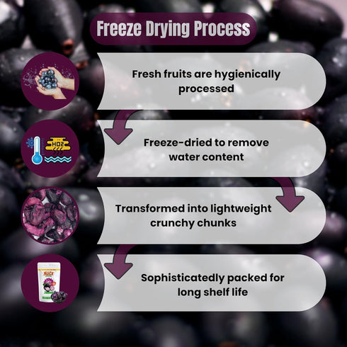 NUICK Freeze Dried Jamun | 100% Natural fruit