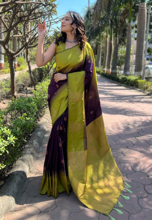 Vasthrlay Kanjivaram Woven Saree