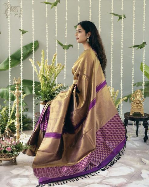 Vasthrlay Banarasi Traditional Unstitched Saree