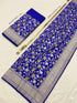 Vasthrlay Meenakari Banarasi Multicolour