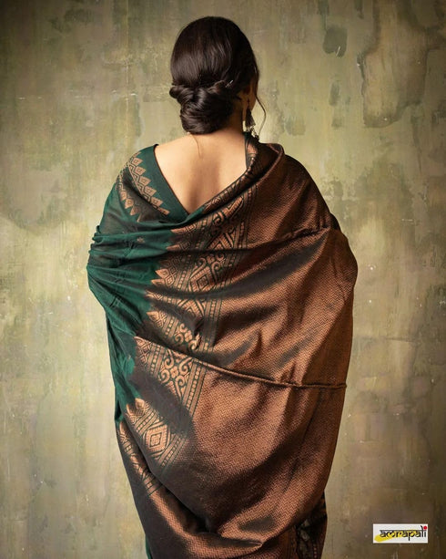 Vasthrlay Traditional Unstitched Saree