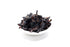 Kesna Jamun Chips