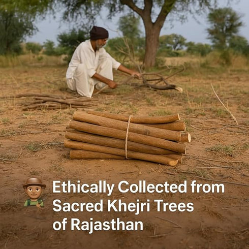 Khejri (Shami) Havan Samidha Sticks