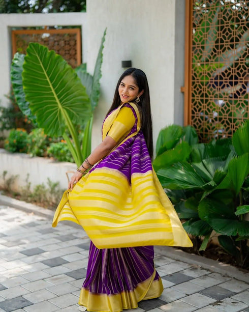 Vasthrlay Cotton Saree