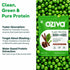 OZiva Plant Protein + Pro-Digest | Supports Muscle Recovery & Gut Health