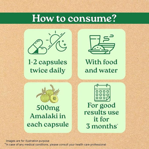 Organic India Amalaki - 60 Veg Capsules
