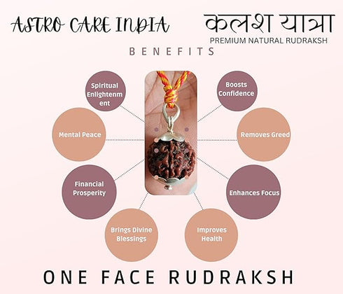Rudraksh Chain (Big Size) / Rudraksha Mala (Big Size)