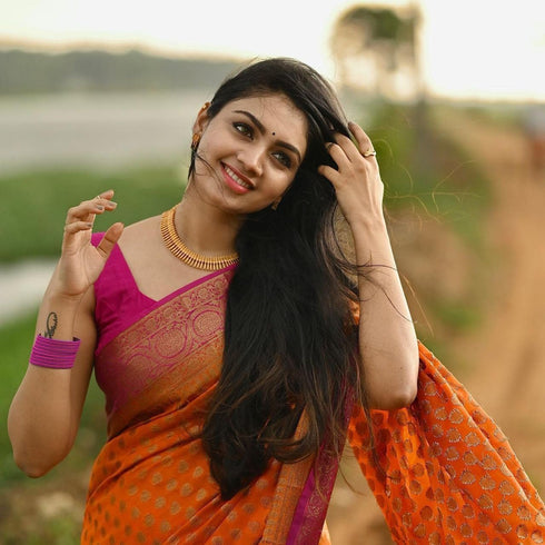 Vasthrlay Banarasi Saree