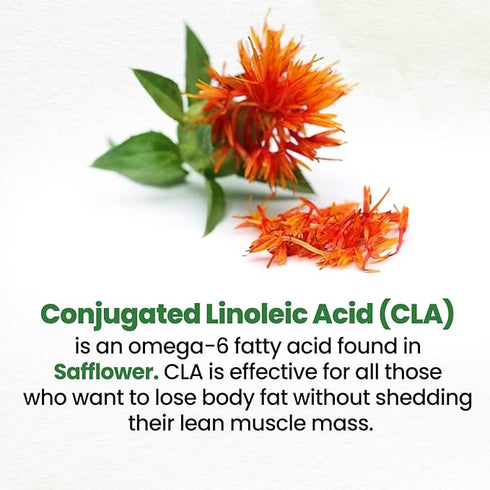 Himalayan Organics Plant Based CLA 1000