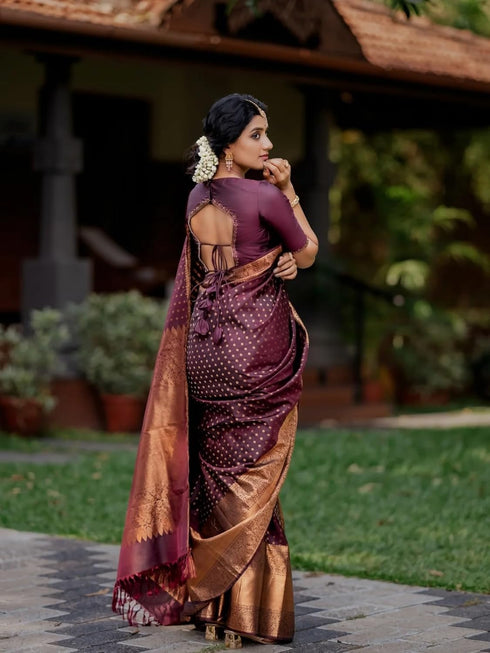 Vsathrlay Banarasi Kanchipuram Saree