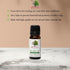 Revital Essential Tea Tree Oil