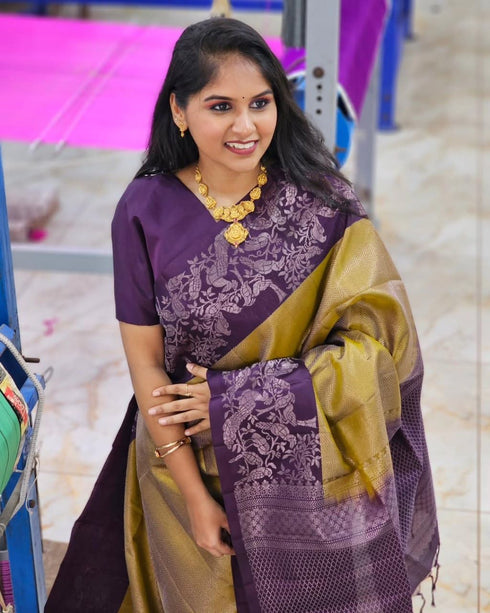 Vasthrlay Banarasi Saree