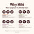 Mille Grains Combo | Foxtail Millet, Little Millet, Kodo Millet and Barnyard Millet