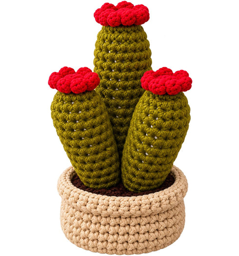 Handmade Crochet Cactus Plant with Flower in Woven Pot