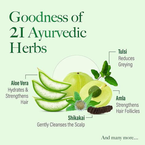 Kesh King Ayurvedic Anti Hairfall Conditioner