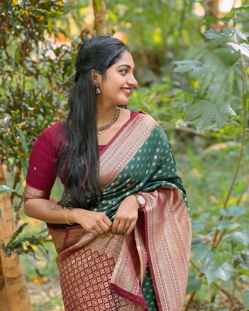 Vasthrlay Kanjivaram Saree