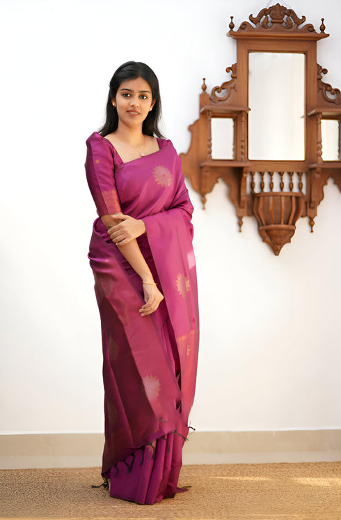 Vasthrlay Cotton Saree