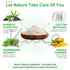Herbal Detox Foot Pads For Toxin Removal