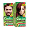 Corlin Herbal Permanent Hair Color Cream, Burgundy (Pack of 2)