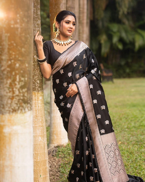 Vasthrlay Banarasi Saree