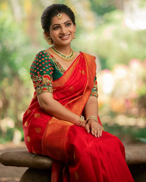 Vasthrlay Banarasi Traditional Saree