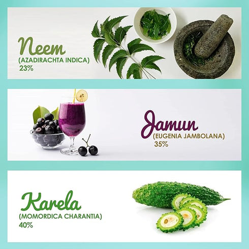 GARDEN OF NUTRITION Neem Karela Jamun Juice
