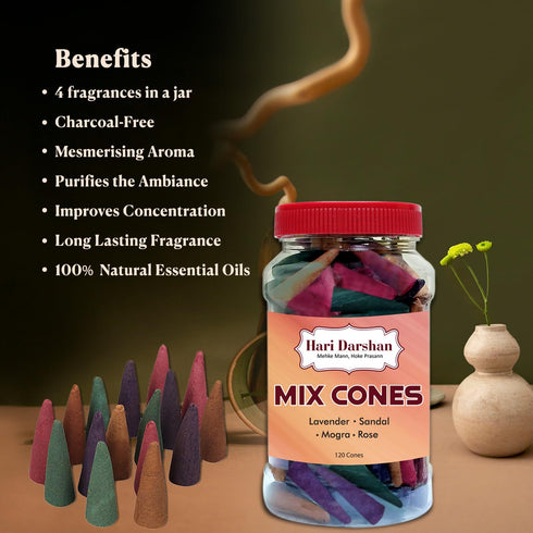 Hari Darshan Natural Dhoop Cones Mix - 240 Cones