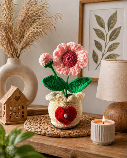 Handmade Crochet Flower Pot Set
