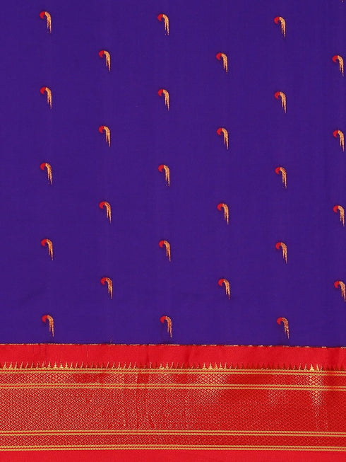 Vasthrlay Paithani Bottle Saree