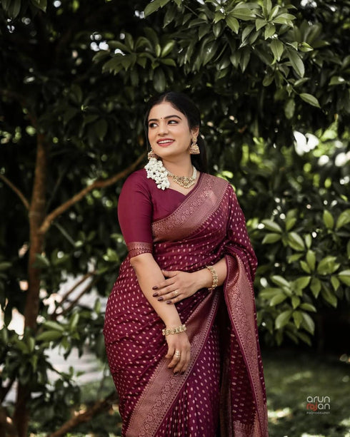 Vasthrlay Lavender Kanjivaram Saree