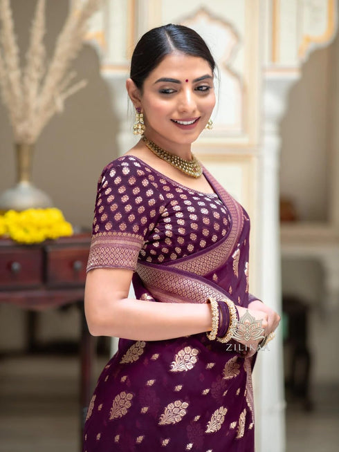 Vasthrlay Banarasi Saree