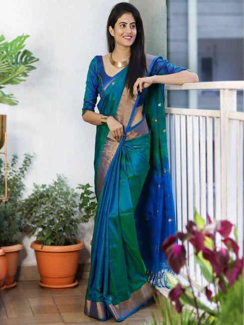 Vasthrlay Banarasi Saree