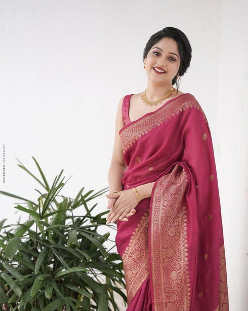 Vasthrlay Banarasi Saree