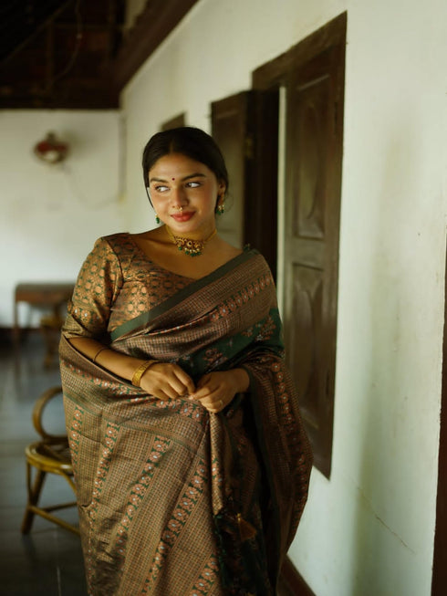 Vasthrlay Banarasi Border Saree
