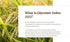 Gyco Elite Low Glycemic Index(GI) Rice